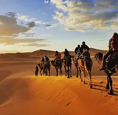Les dunes desertiques